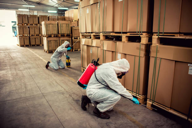 Best Pest Control for Restaurants  in Palacios, TX